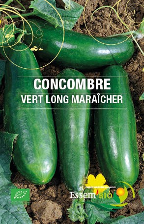 VERT LONG MARAICHER - BIO