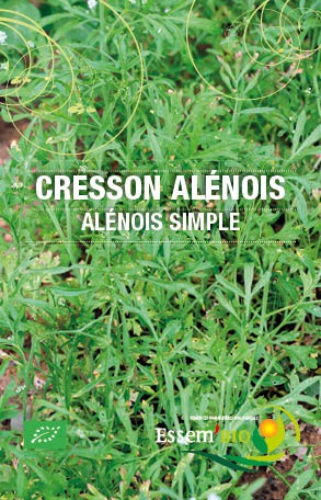 ALENOIS SIMPLE - BIO
