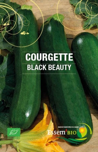 Semence Courgettes BLACK BEAUTY - BIO