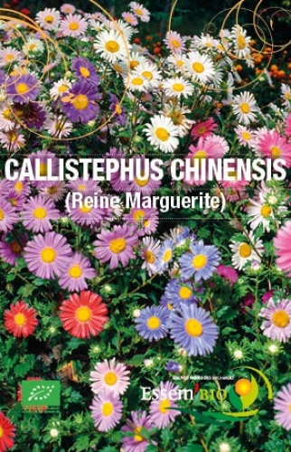 Semence Semences florales CALLISTEPHUS CHINENSIS ( Reine Marguerite ) - BIO