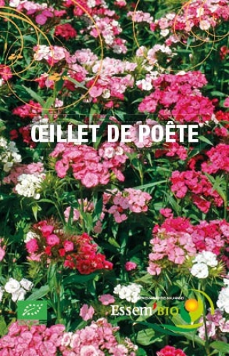 Semence Semences florales OEILLET DE POETE - BIO