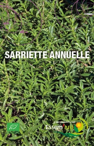 Semence Semences de condimentaires SARRIETTE ANNUELLE - BIO