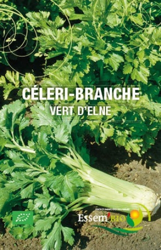 Semence Celeri-Branches VERT D'ELNE - BIO