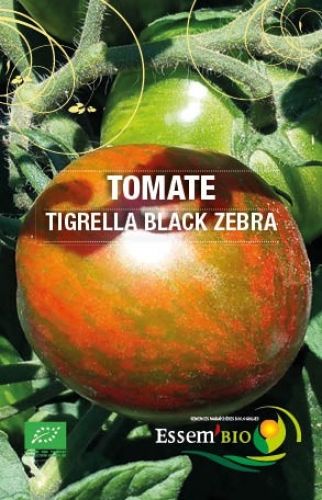 Semence Tomates TIGRELLA Black ZEBRA - BIO