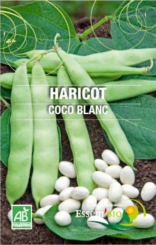 Semence Gamme jardiniers COCO BLANC - BIO