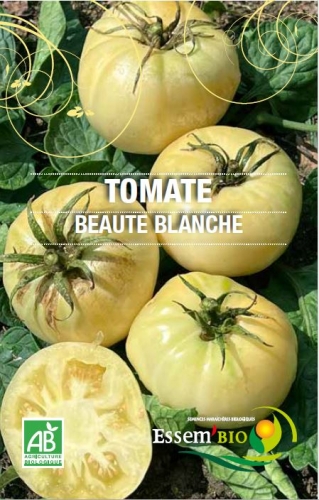 Semence Tomates BEAUTE BLANCHE - BIO