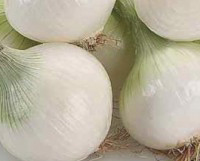 GROS BLANC DE LISBOA - BIO