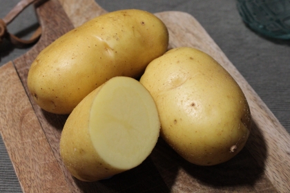 Semence Pommes de terre CHARLOTTE (livraison à partir du 15 Fevrier) - BIO