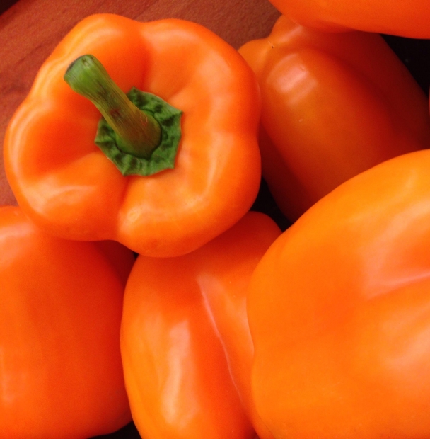ORANGE SUN (SUNRISE ORANGE) - BIO
