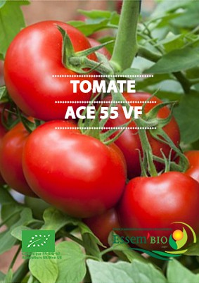 ACE 55 VF - BIO