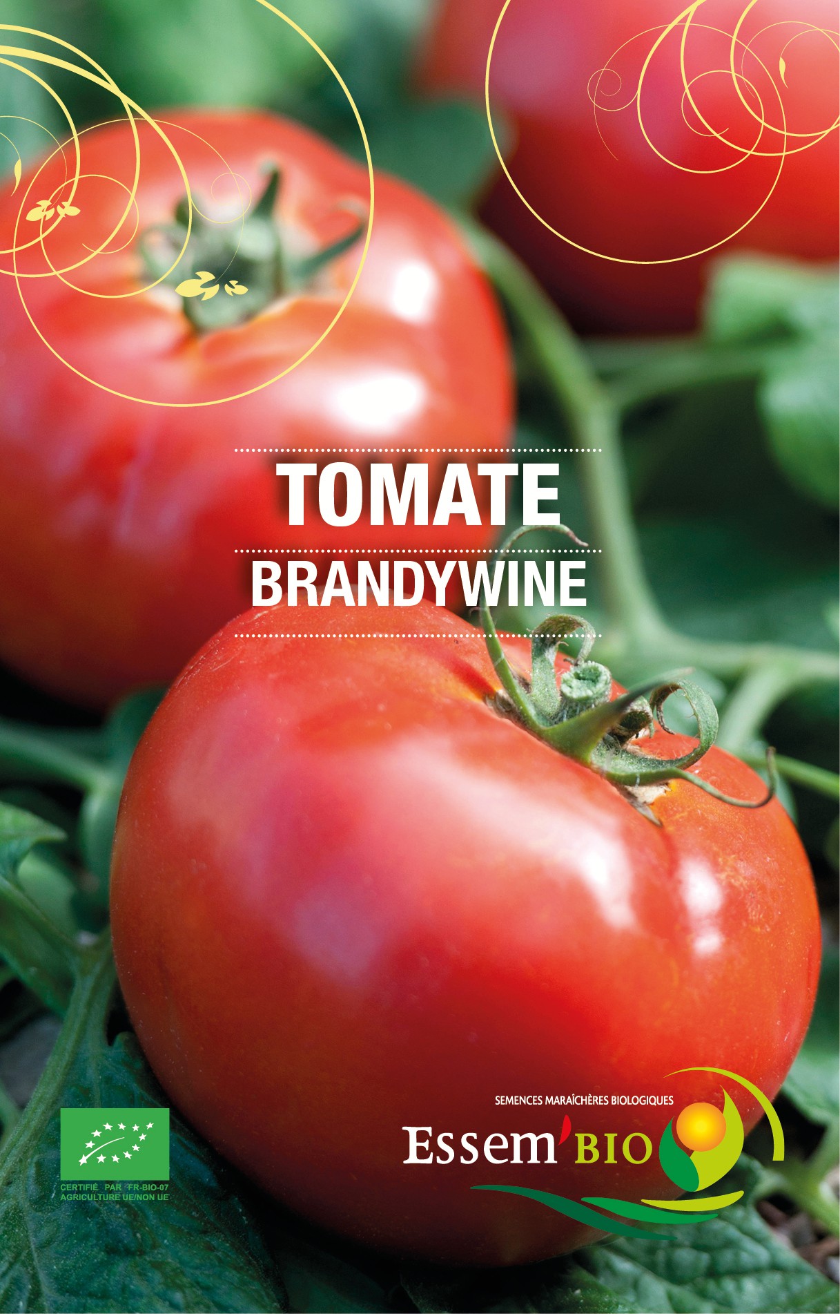 BRANDYWINE Rouge - BIO