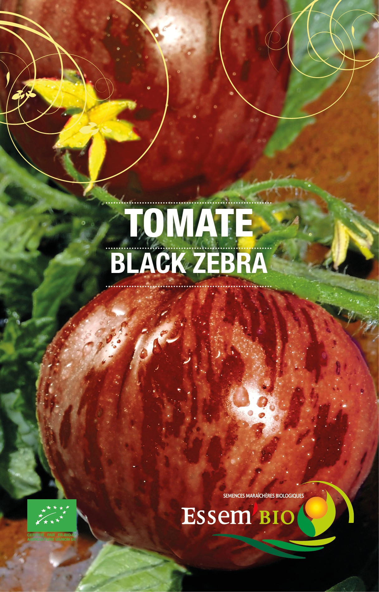 Tigrella race Black zebra- BIO