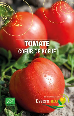 CUOR DI BUE race Rouge - BIO