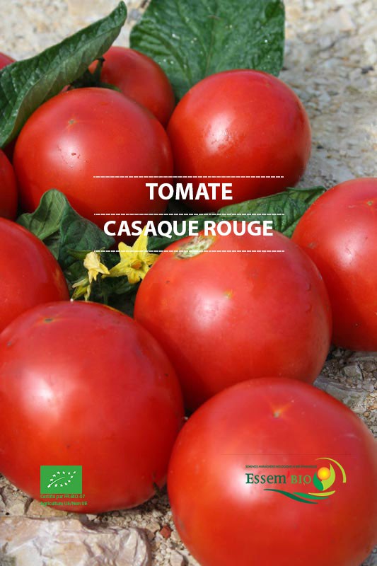 CASAQUE ROUGE - BIO
