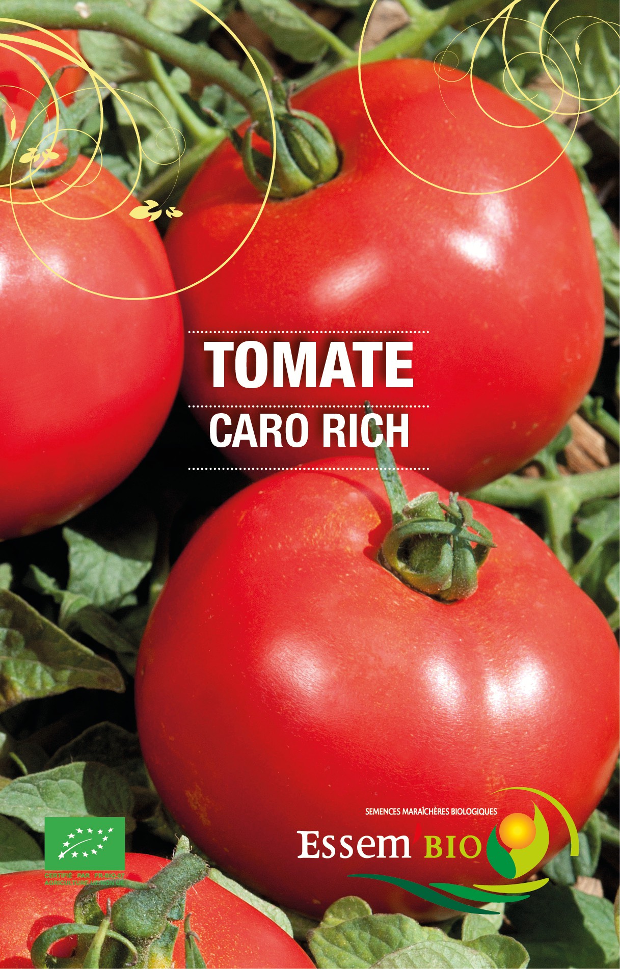 CARO RICH - BIO