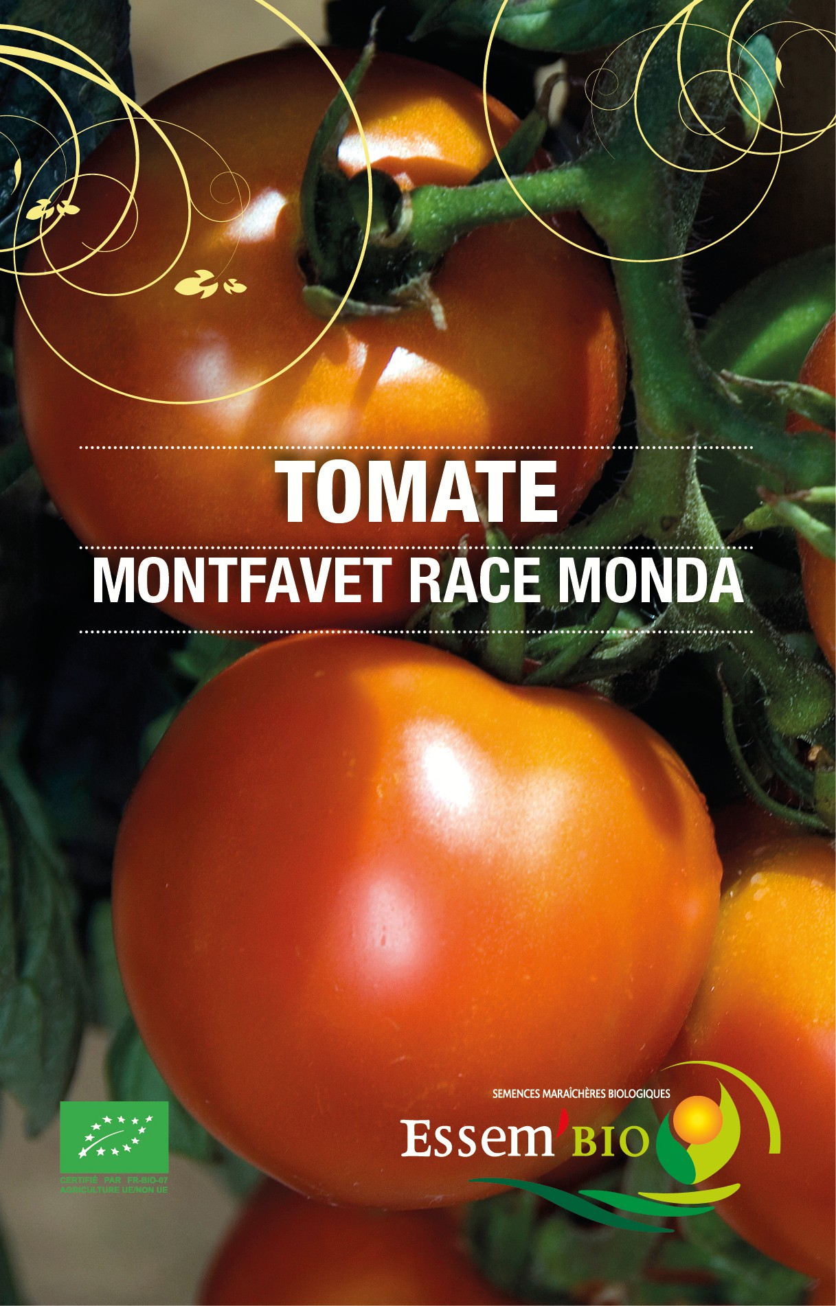 MONDA