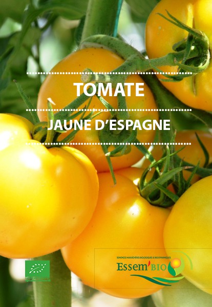 JAUNE D'ESPAGNE - BIO
