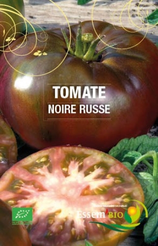 Semence Ronde NOIRE RUSSE - BIO