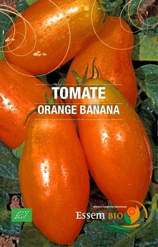 Semence Originales et de collection Orange Banana - BIO