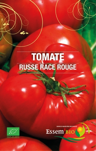 Semence Ronde RUSSE race Rouge  - BIO