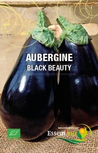Semence Aubergines BLACK BEAUTY - BIO