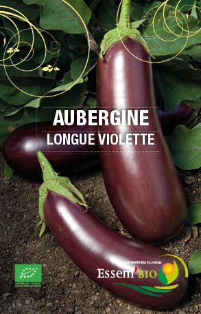 LONGUE VIOLETTE - BIO