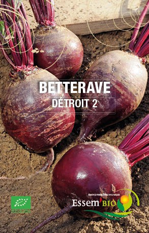 DÉTROIT 2 - BIO