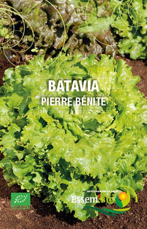 PIERRE BENITE - BIO