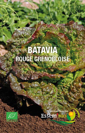 ROUGE GRENOBLOISE - BIO