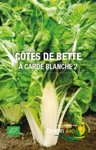 Semence Côtes de bette A CARDE BLANCHE 2 - BIO