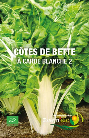 A CARDE BLANCHE 2 - BIO
