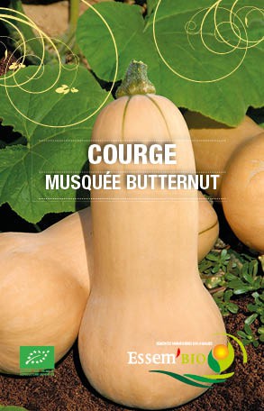 MUSQUEE BUTTERNUT - BIO