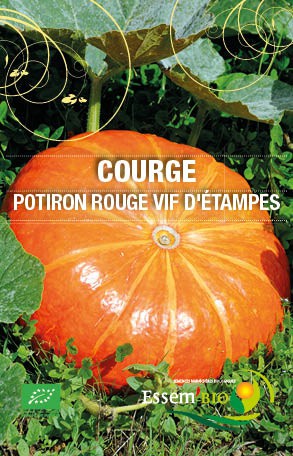 POTIRON ROUGE VIF D'ETAMPES - BIO