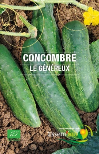 Semence Concombres LE GENEREUX - BIO