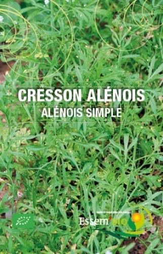 Semence Cressons alenois ALENOIS SIMPLE - BIO