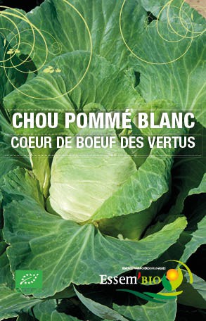 COEUR DE BOEUF DES VERTUS - BIO