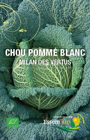MILAN DES VERTUS - BIO