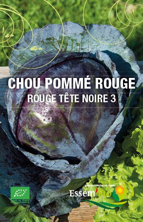 ROUGE TETE NOIRE 3 - BIO