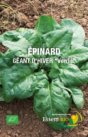 GEANT D'HIVER