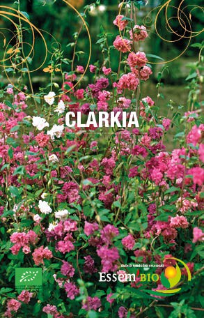 CLARKIA - BIO