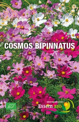 Semence Semences florales COSMOS BIPINNATUS - BIO