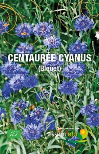 Semences de centaurée bleuet - Centaurea cyanus