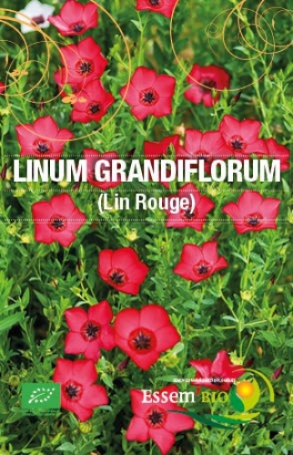 Other & unclassified - Ancien sachet de graines (vide à remplir) pour  commerce horticole grainetier Lin à grande fleur rouge Plante linum