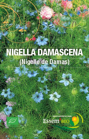 NIGELLA DAMASCENSA ( Nigelle de Damas ) - BIO