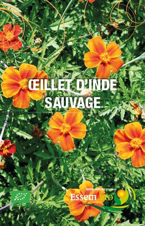 OEILLET D'INDE SAUVAGE - BIO