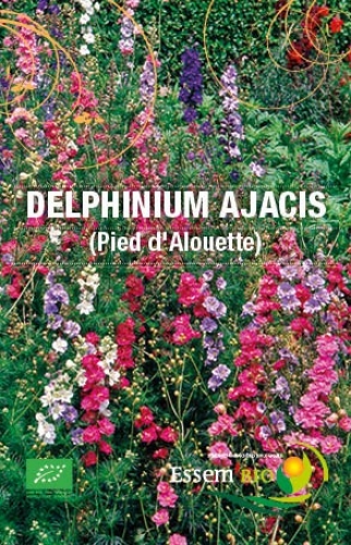 Semence Semences florales DELPHINIUM AJACIS ( Pied D'Alouette ) - BIO