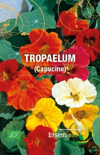Semence Semences florales TROPAEOLUM ( Capucine ) - BIO