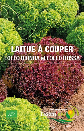 LOLO BIONDA et LOLLO ROSSA - BIO