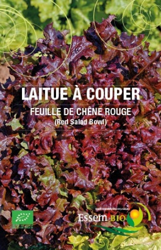 Semence Laitues à couper FEUILLE DE CHENE ROUGE (Red Salad Bowl) - BIO