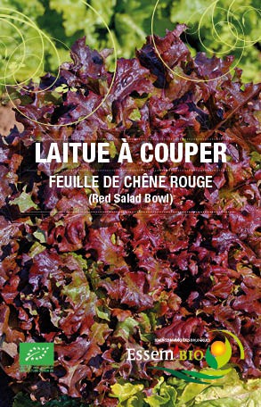 FEUILLE DE CHENE ROUGE (Red Salad Bowl) - BIO